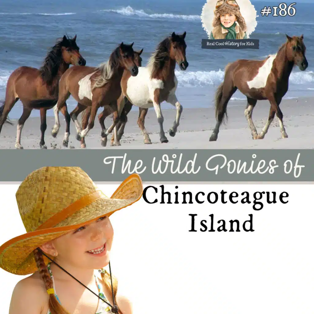 The Wild Ponies of Chincoteague Island (a special episode for Adelaide)