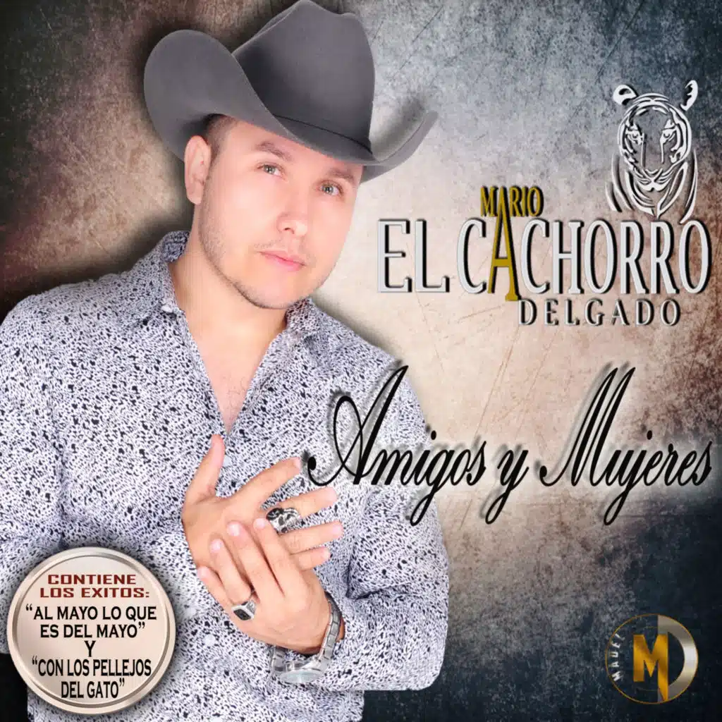 Amigos y Mujeres