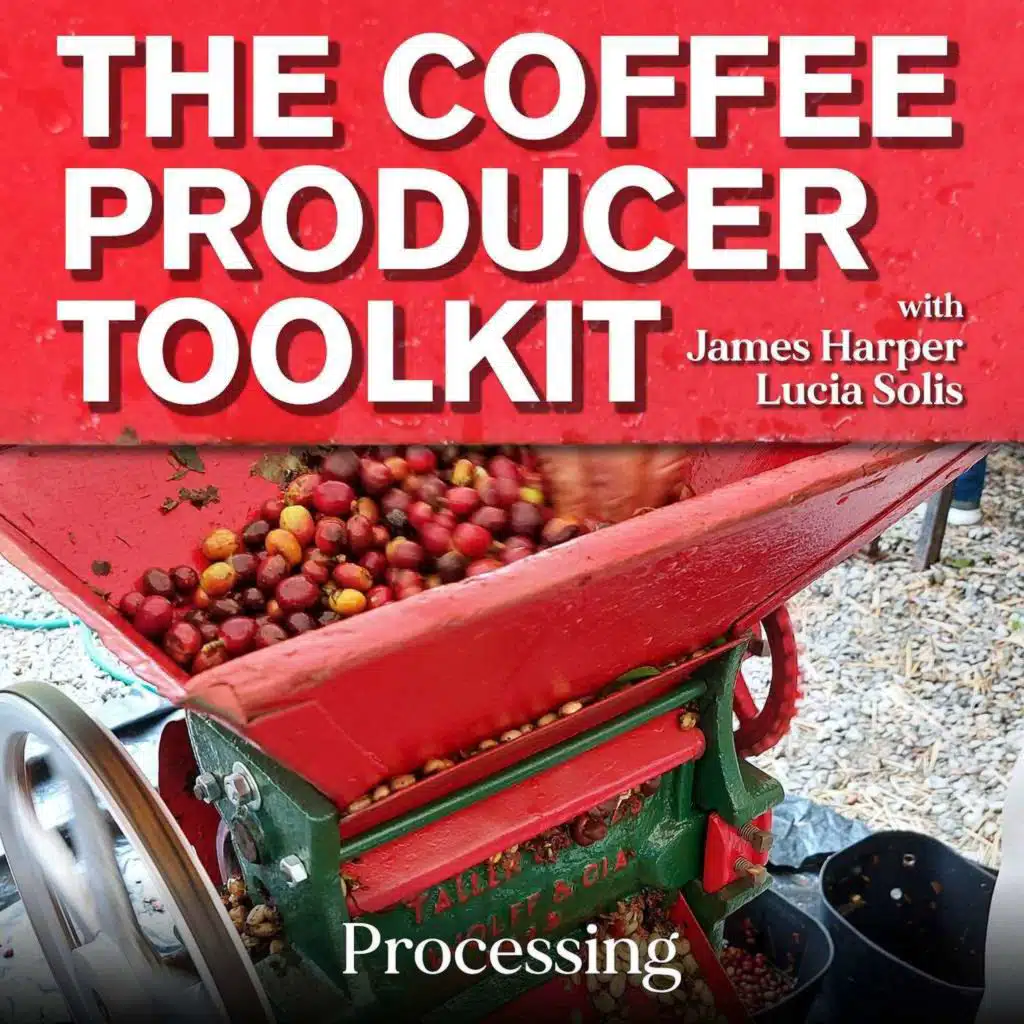 The Coffee Producer Toolkit #2: Processing