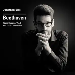 Beethoven Piano Sonatas Nos. 9, 13 & 29 "Hammerklavier", Vol. 6