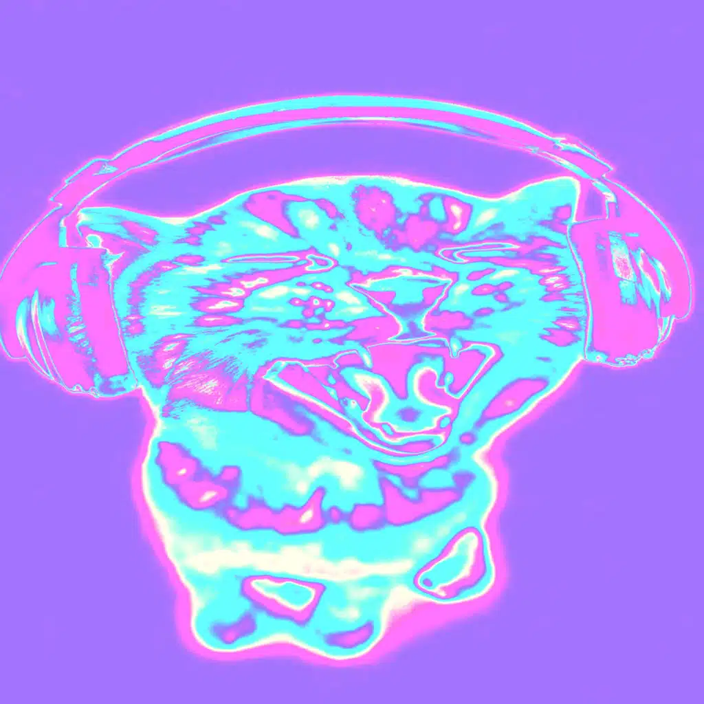 cat wit da headphones on