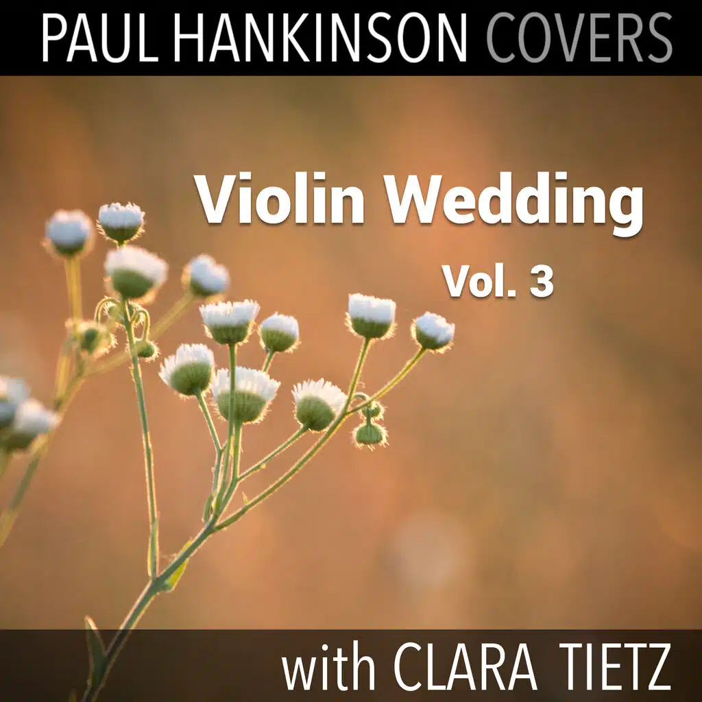 Violin Wedding, Vol. 3