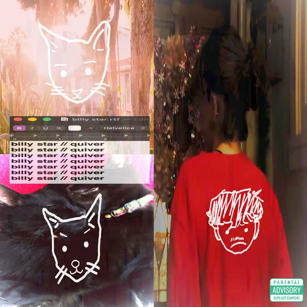billy star // quiver