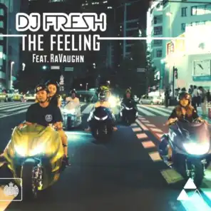 The Feeling (Remixes) [feat. RaVaughn]