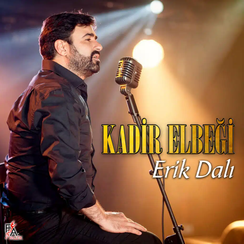 Erik Dalı
