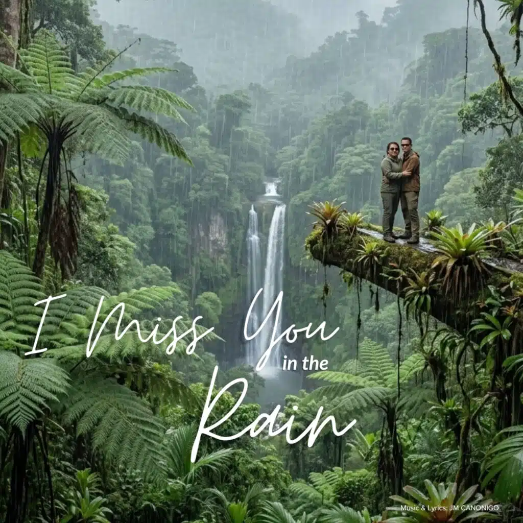 I Miss You In The Rain (Special Version)