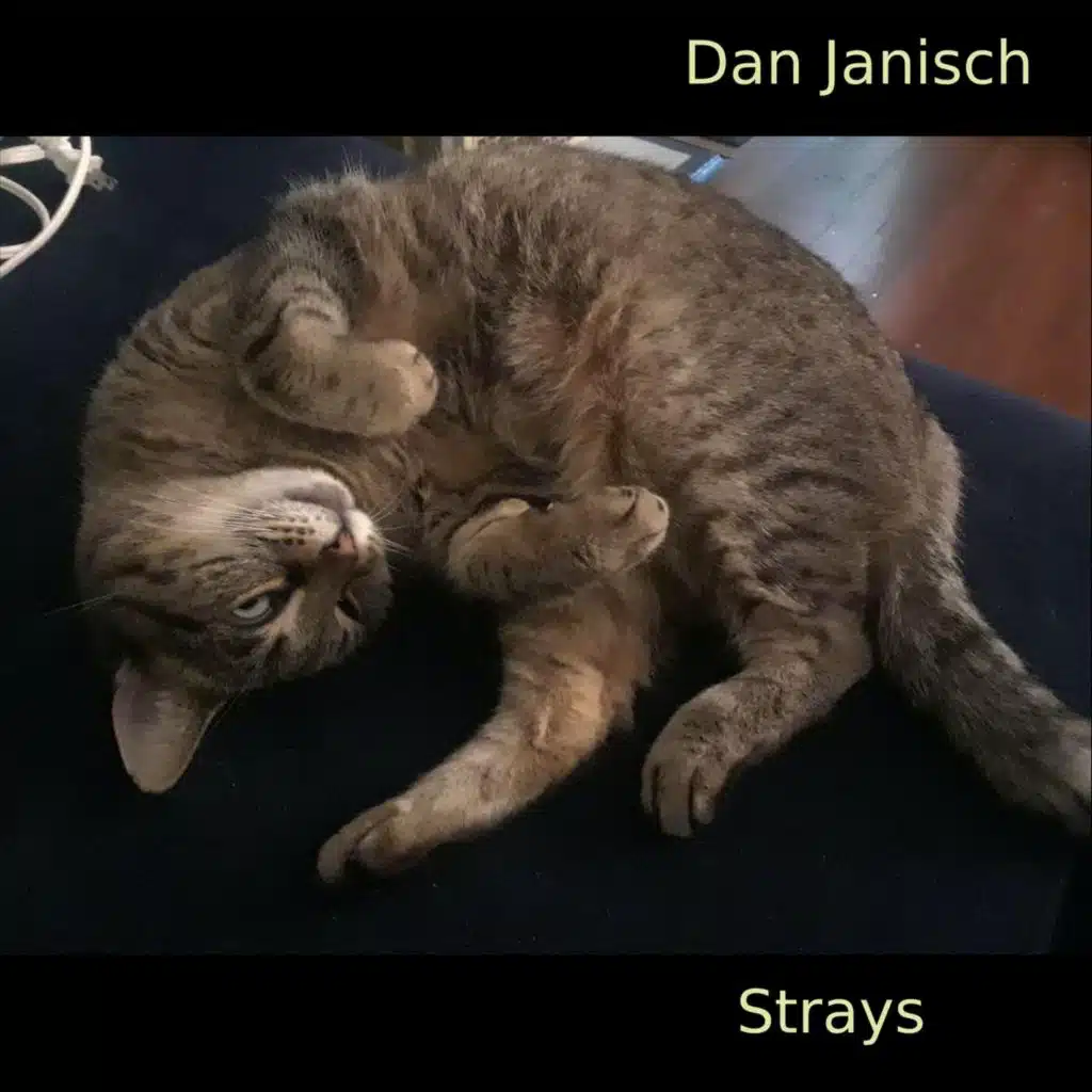 Strays