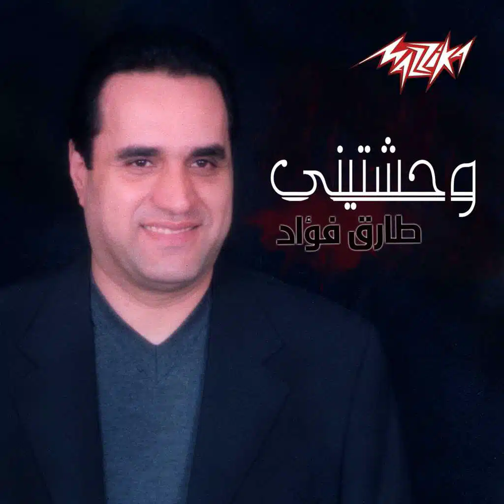 وحشتينى