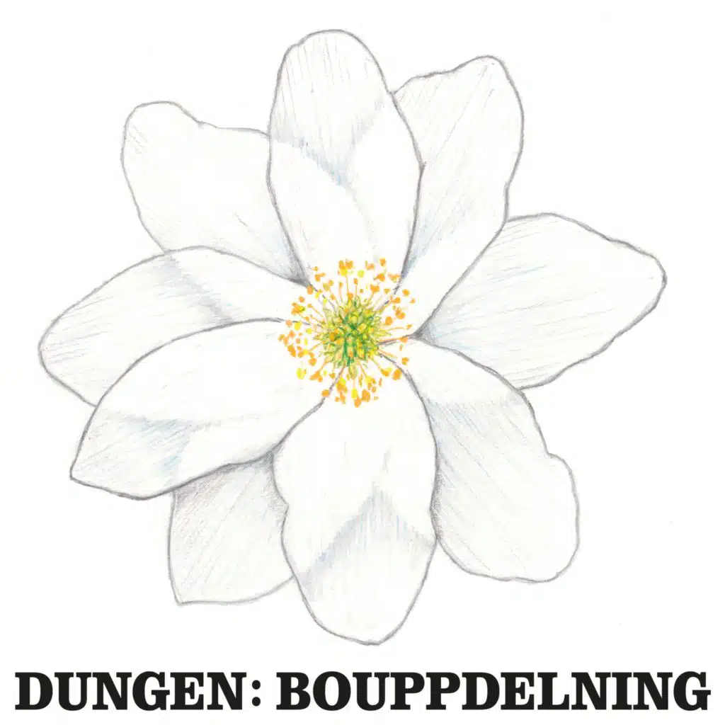 Bouppdelning