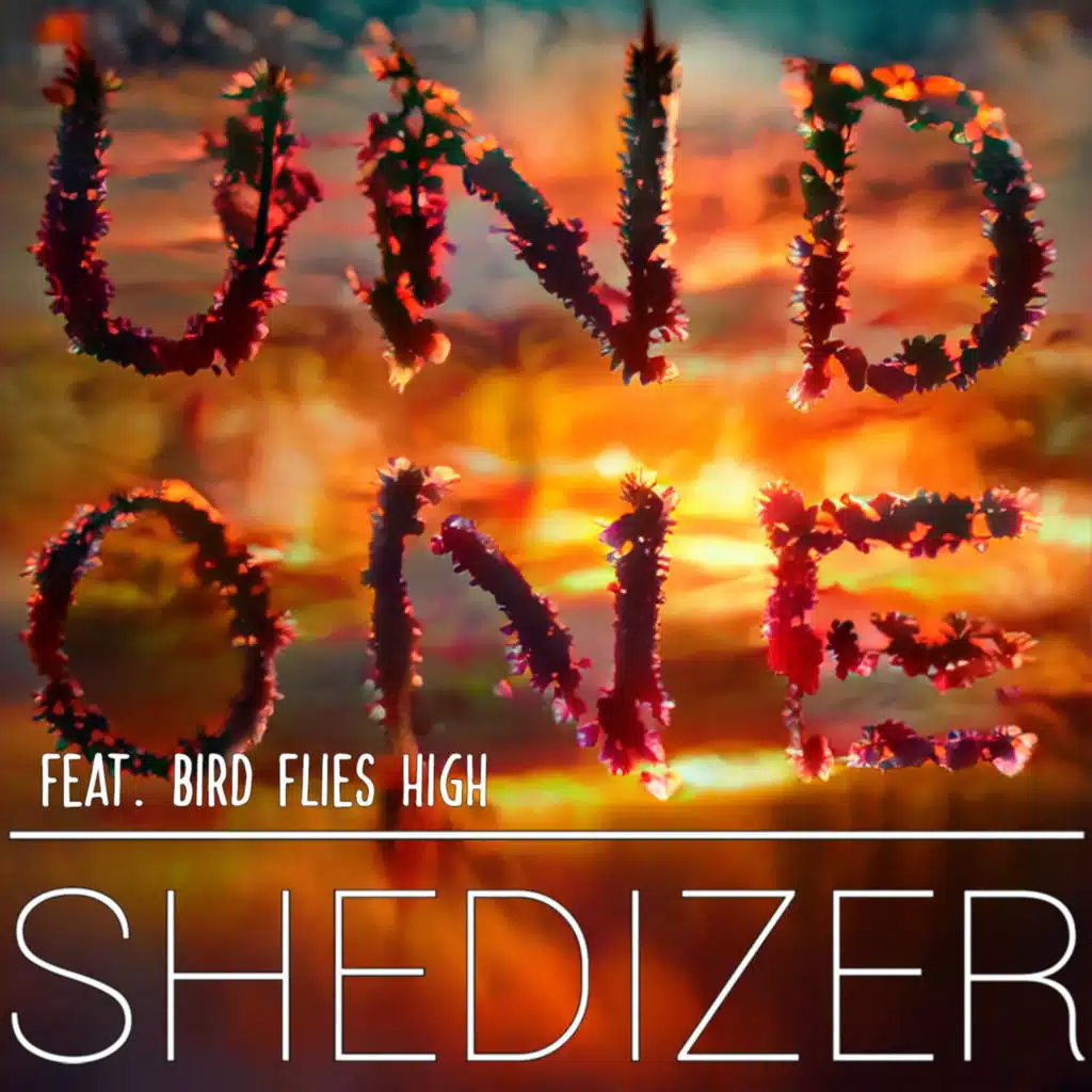Undone (feat. Bird Flies High)