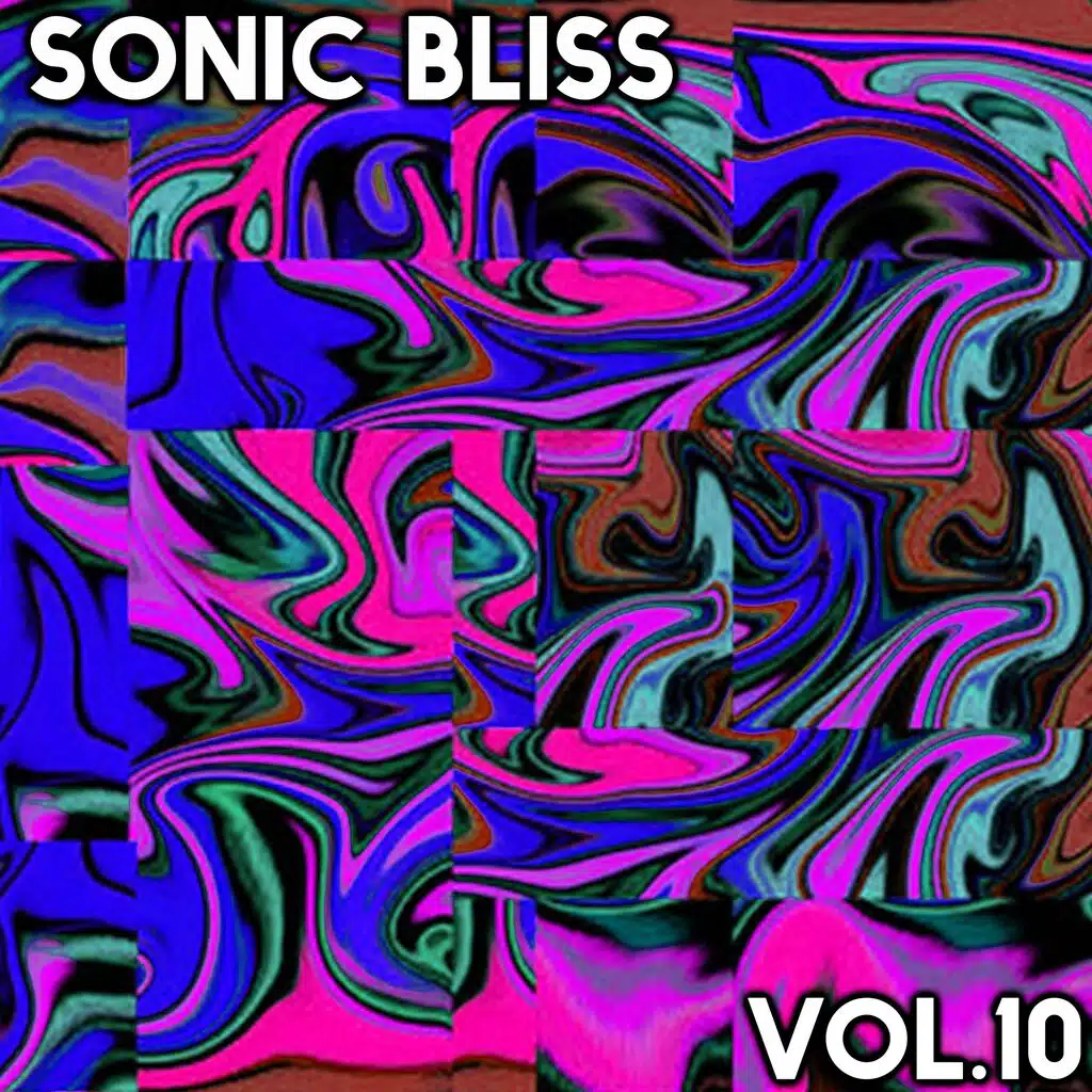 Sonic Bliss, Vol. 10
