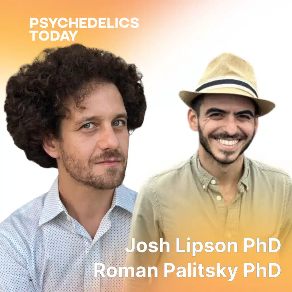 PT 660 - Josh Lipson & Roman Palitsky: Psychedelic Harms and the Post-Psychedelic Challenges Study