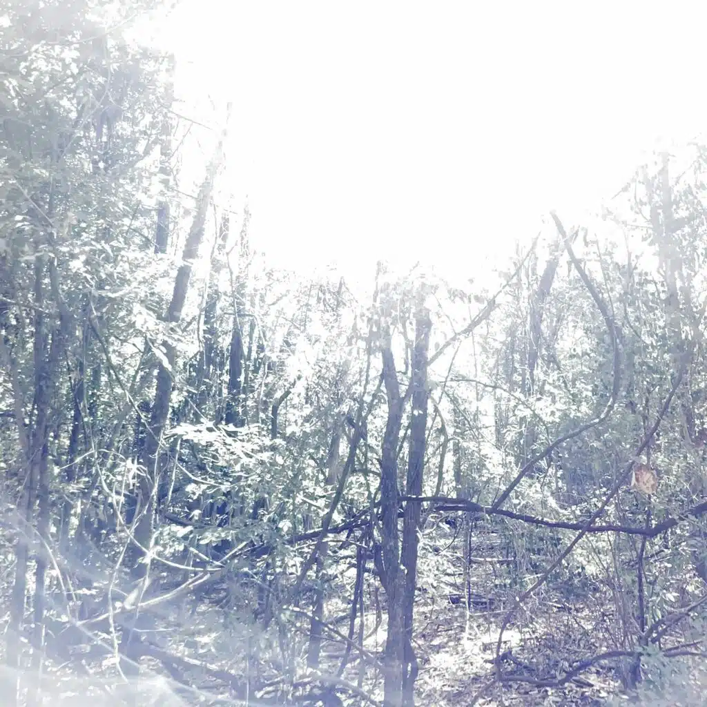 Frostbite