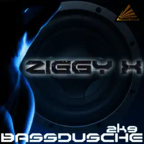 Bassdusche 2K9 (Video Mix)