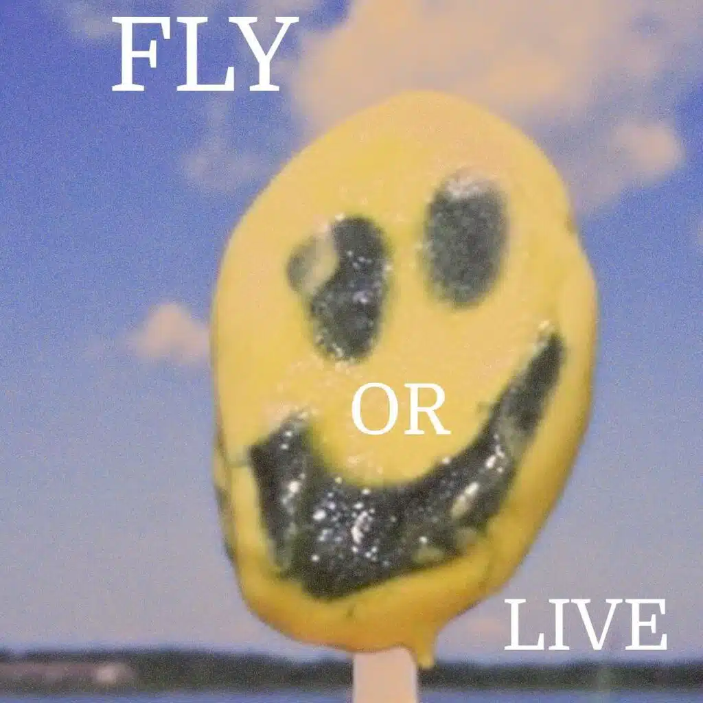 Fly or Live