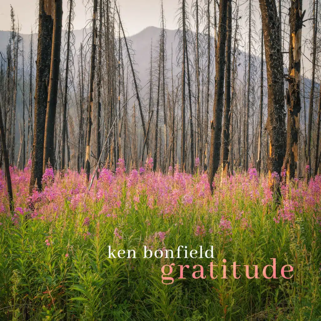 Gratitude