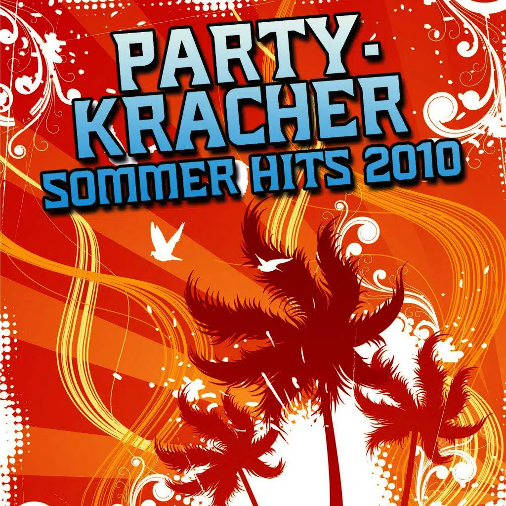 Partykracher Sommer Hits 2010