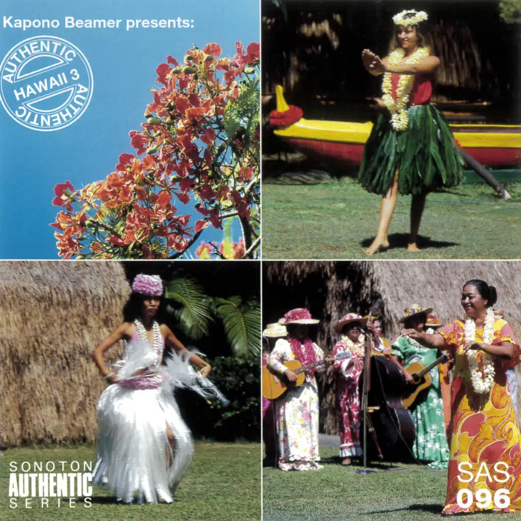 Authentic Hawaii, Vol. 3