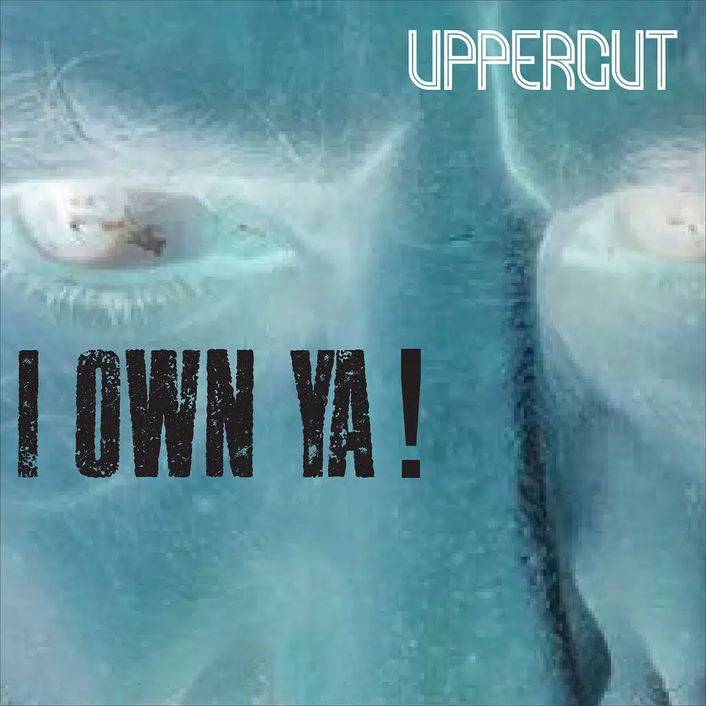 I Own Ya