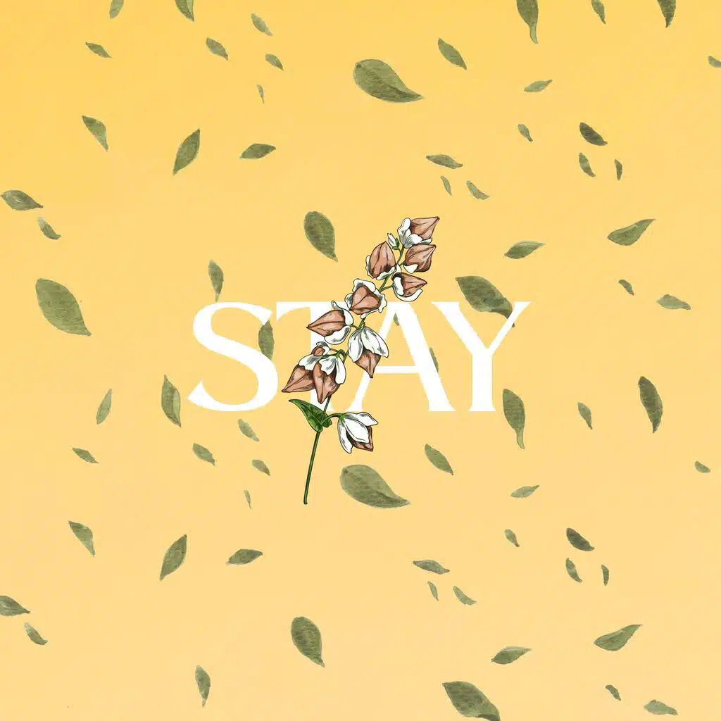 Stay