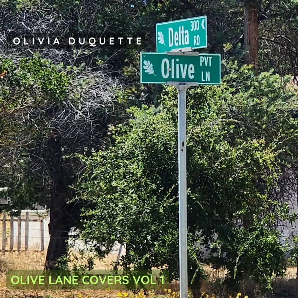 Olive Lane Covers, Vol. 1