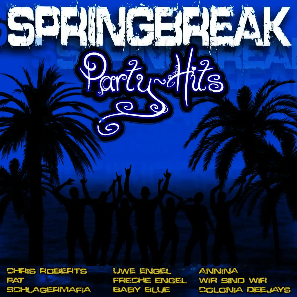 Spring Break - Party Hits