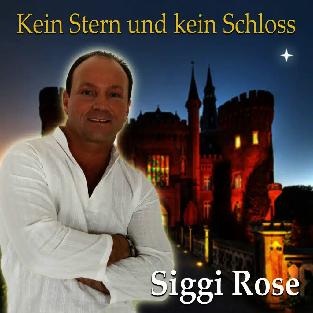 Kein Stern und kein Schloss (Radio Version)
