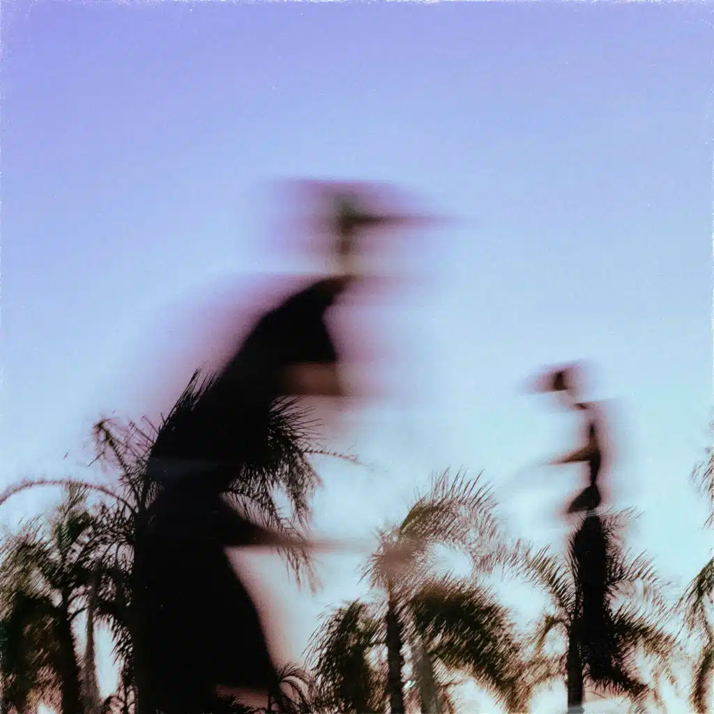Vision