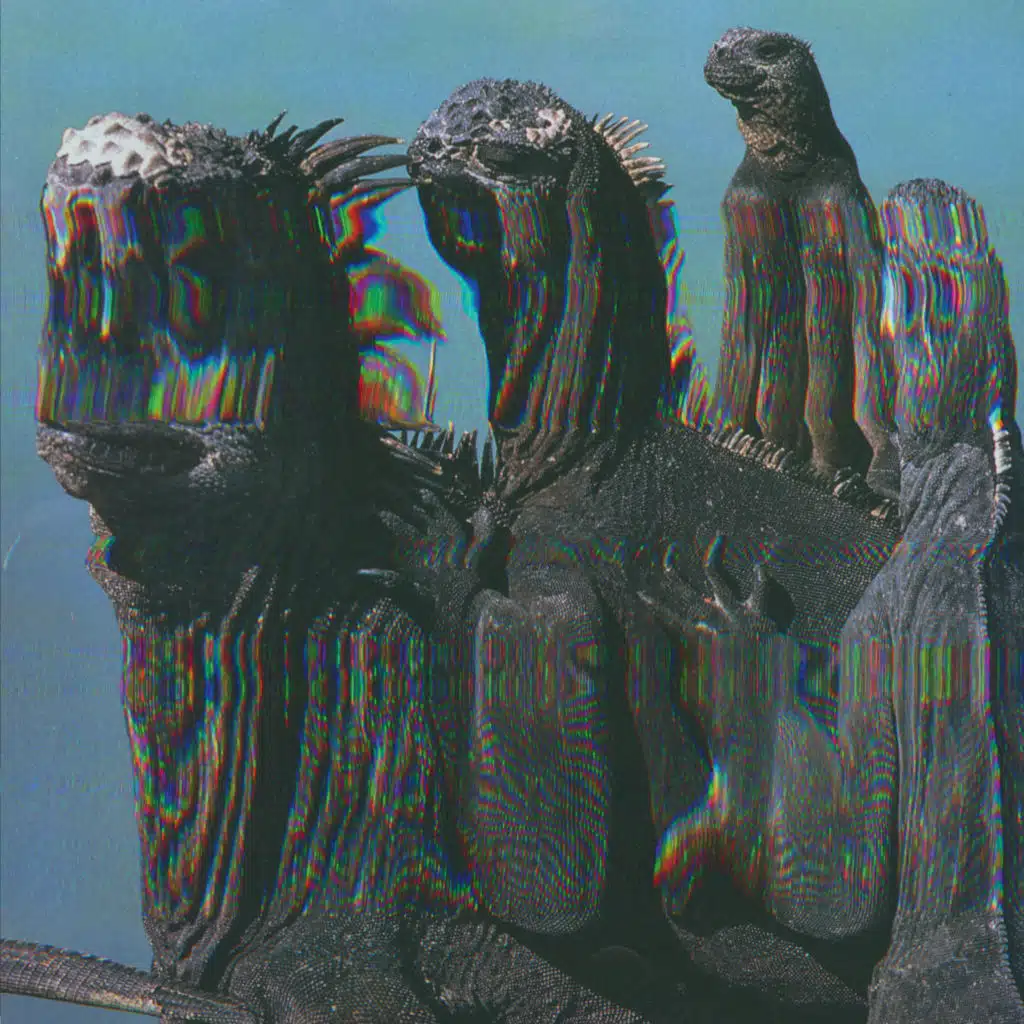 Niche Flex EP