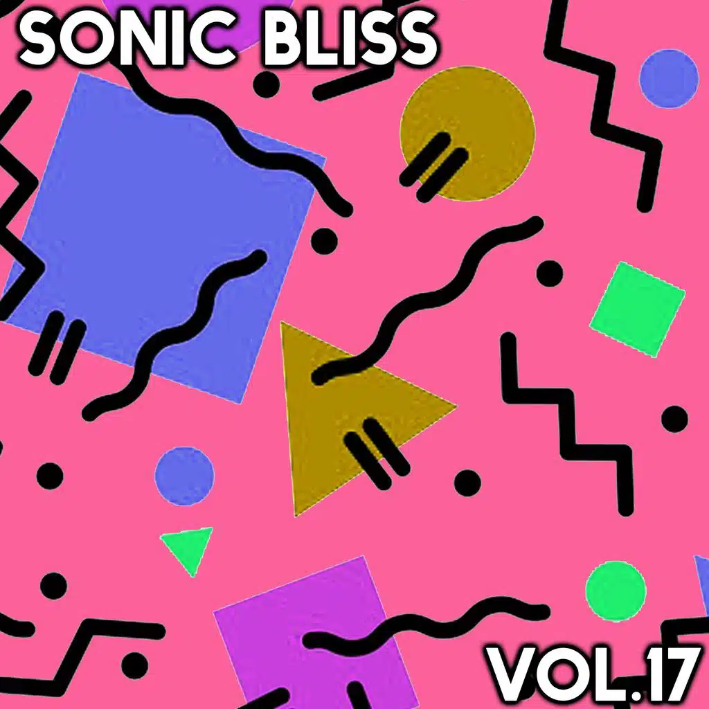 Sonic Bliss, Vol. 17