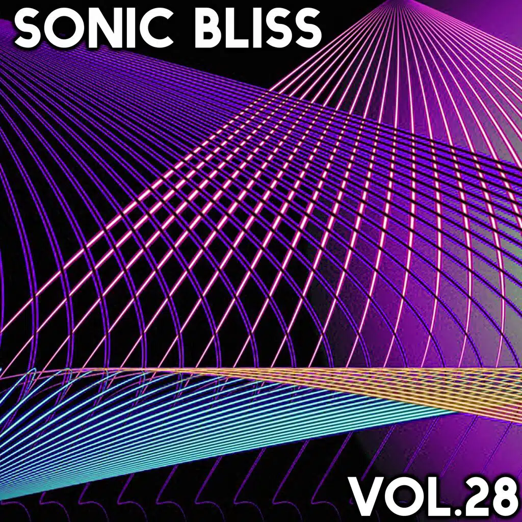 Sonic Bliss, Vol. 28
