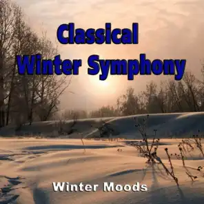 Concerto for Violin: "Winter", Op 8, No 4, III. Allegro