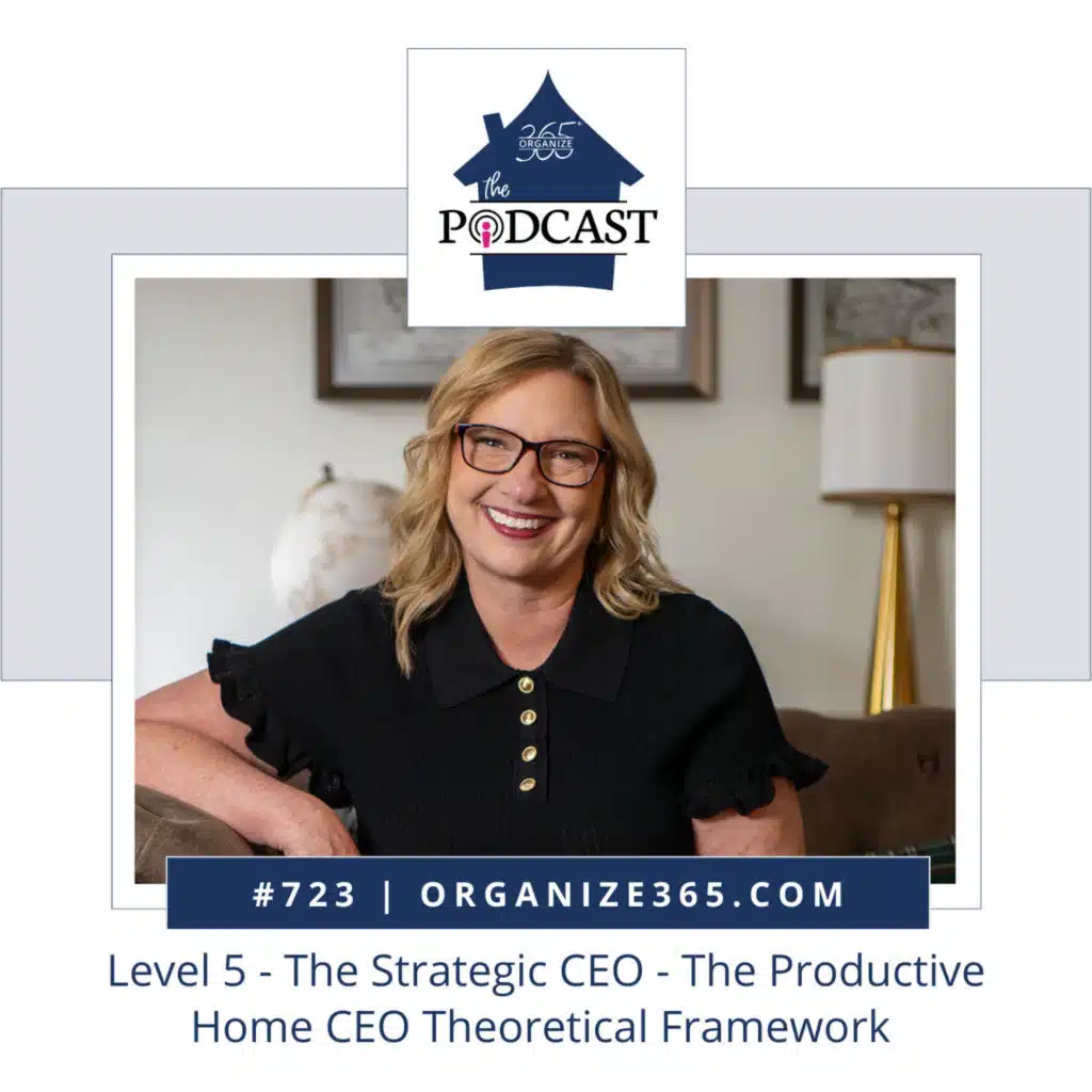 723 - Level 5 - The Strategic CEO - The Productive Home CEO Theoretical Framework