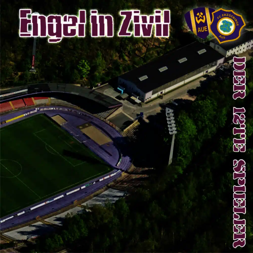 Der 12. Spieler (Fc Erzgebirge Aue Hymne)