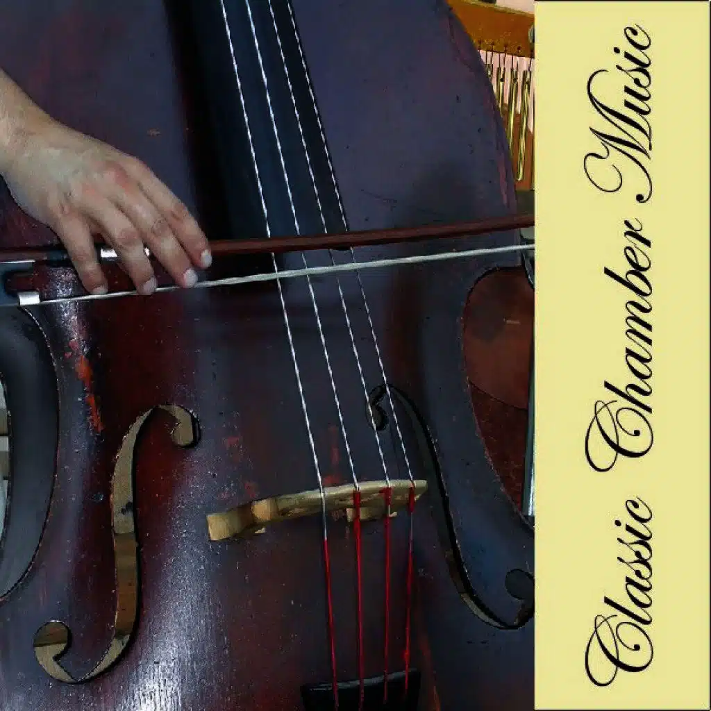 The Vienna Chamber Ensemble