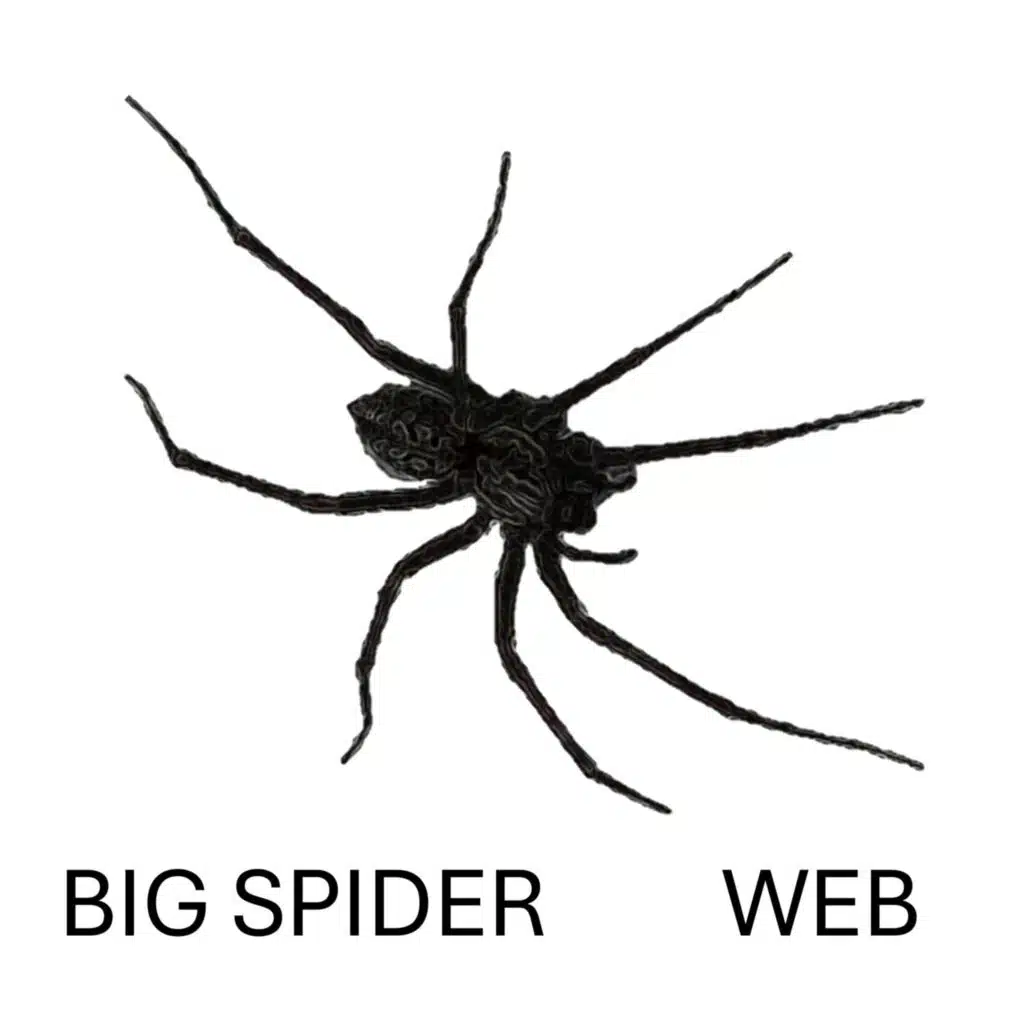 Web 2