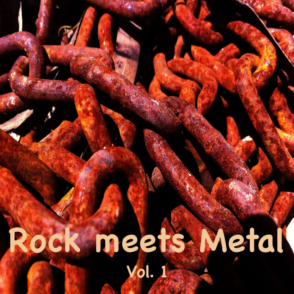 Rock Meets Metal, Vol. 1