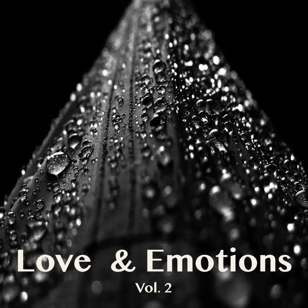 Klaus Peter Schöpfer