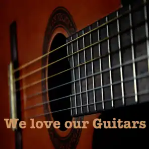 We Love Our Guitars