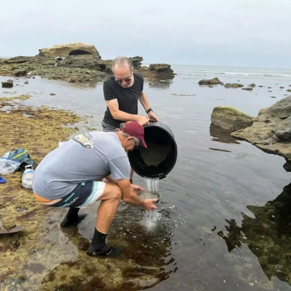 Scientists Are Building a 'Noah’s Ark' of California’s Tide Pools