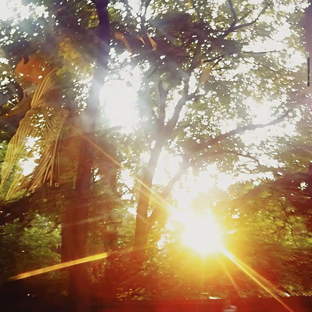 beautiful hour
