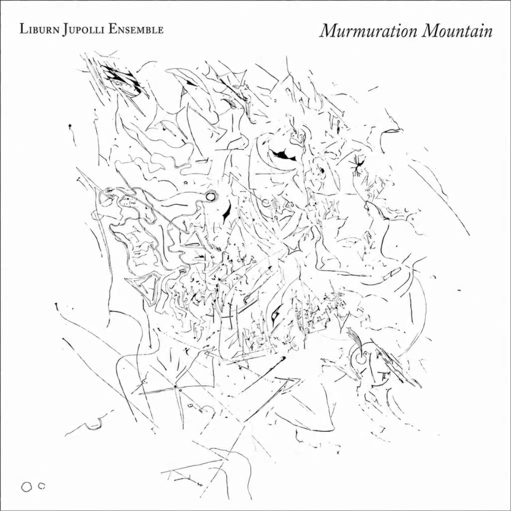 Murmuration Mountain