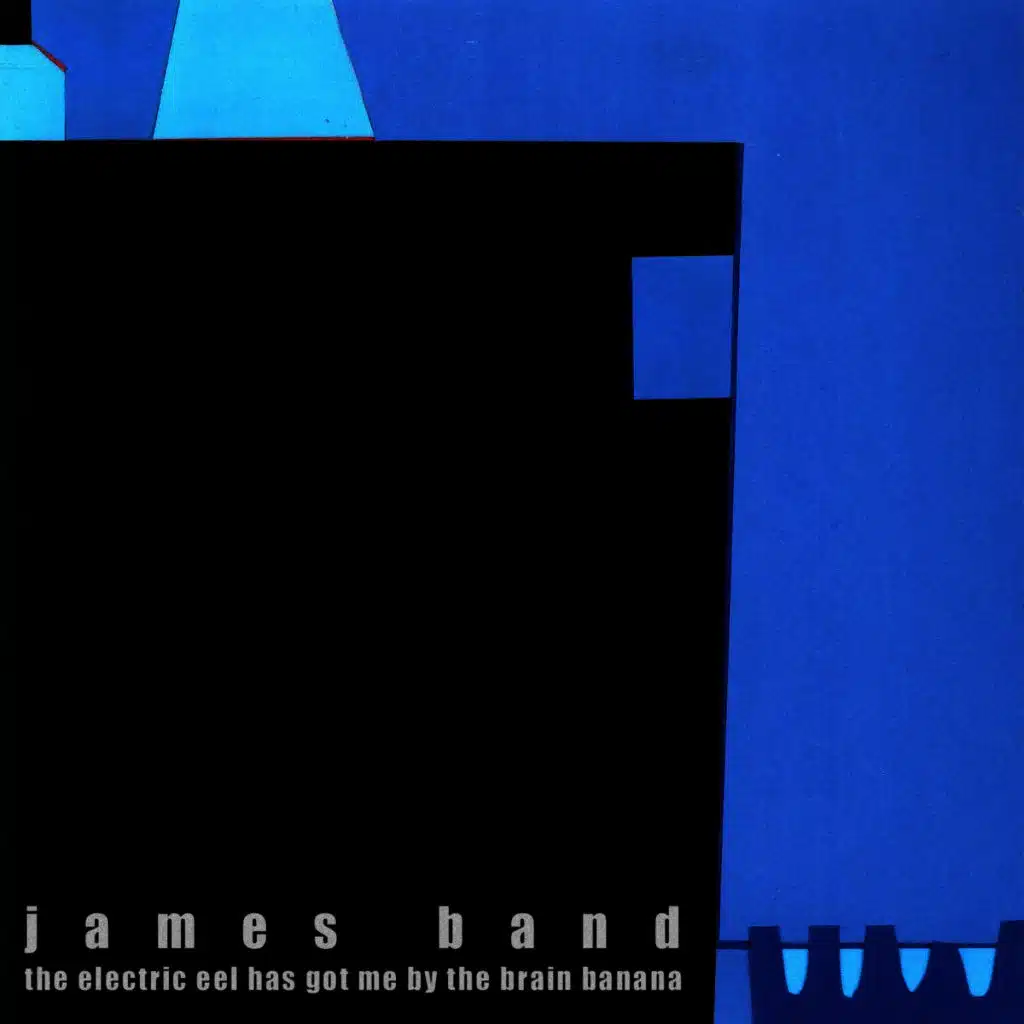 The Electric Eel Has Got Me by the Brain Banana