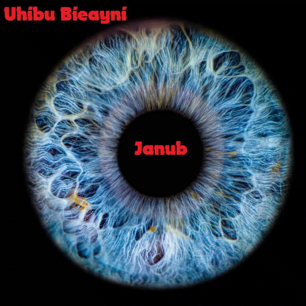 Uhibu Bienayni JANUB (Original Mix)