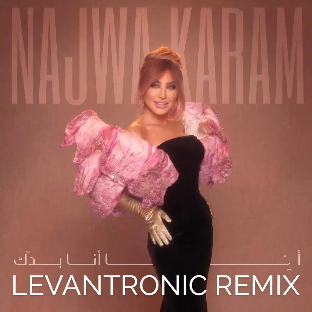 أيّـــا أنا بدك (Levantronic Version)