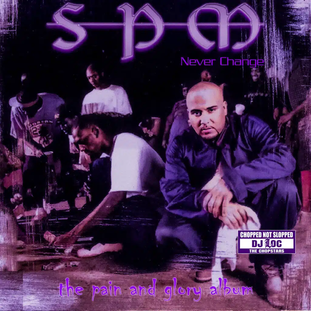 Never Change (ChopNotSlop Remix) [feat. Dj Loc]