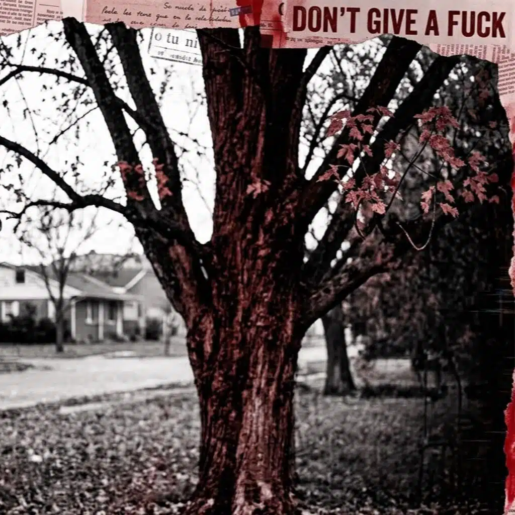 Don't Give a Fuck (Spanish Remix)