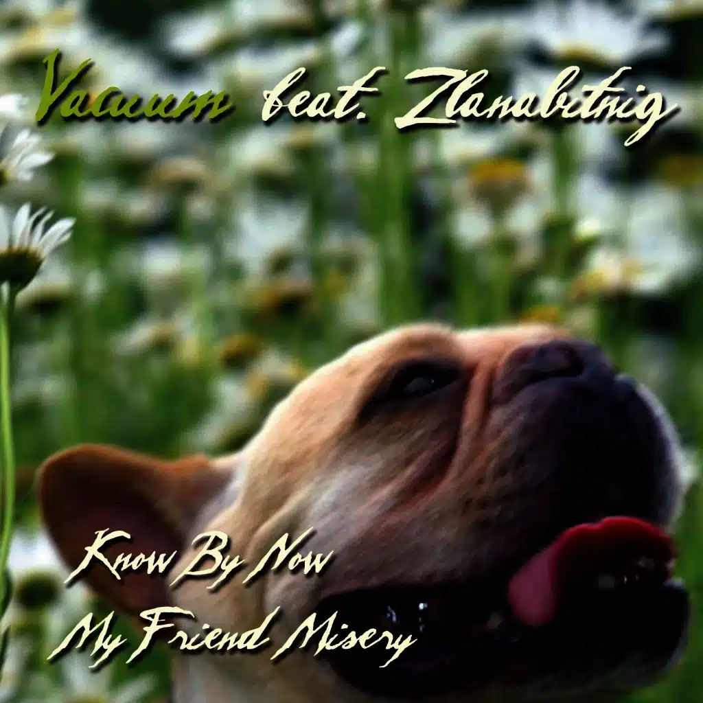 Know by Now / My Friend Misery