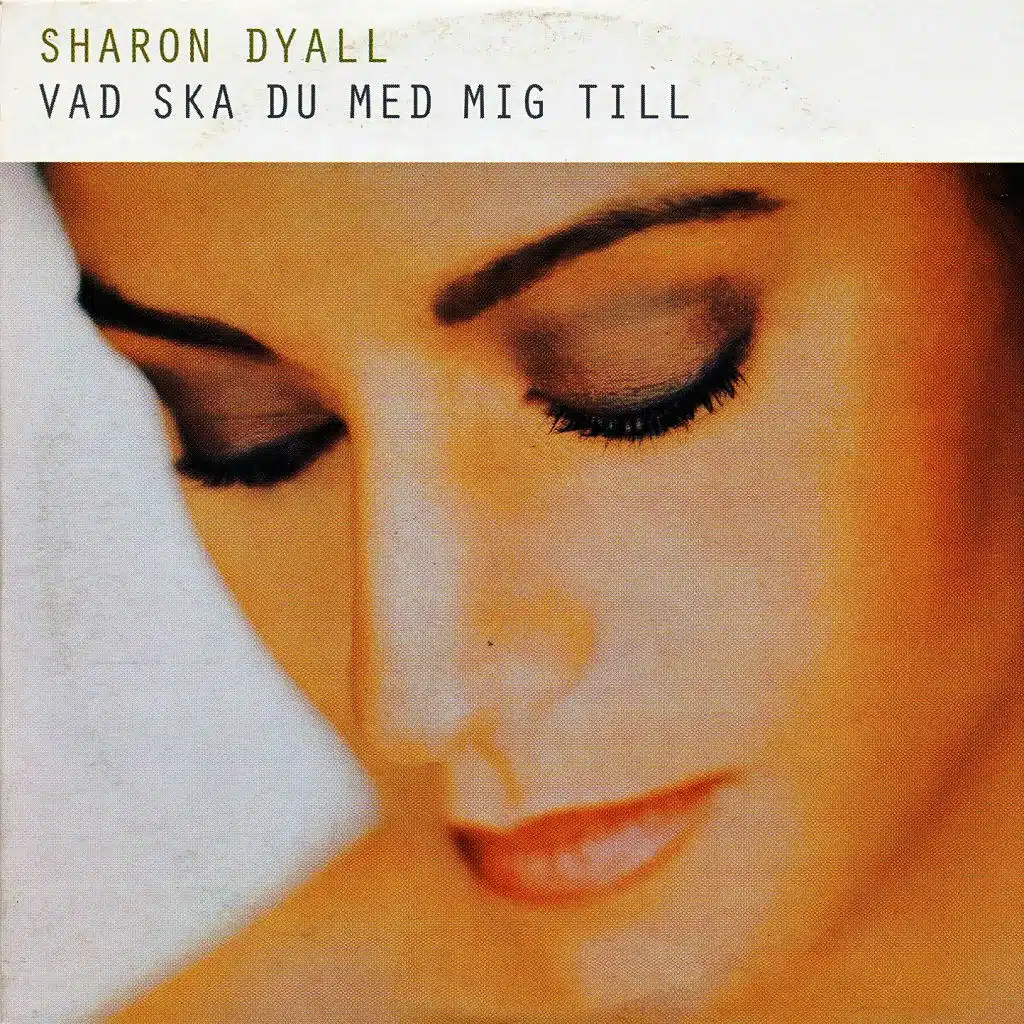 Vad Ska Du Med Mig Till