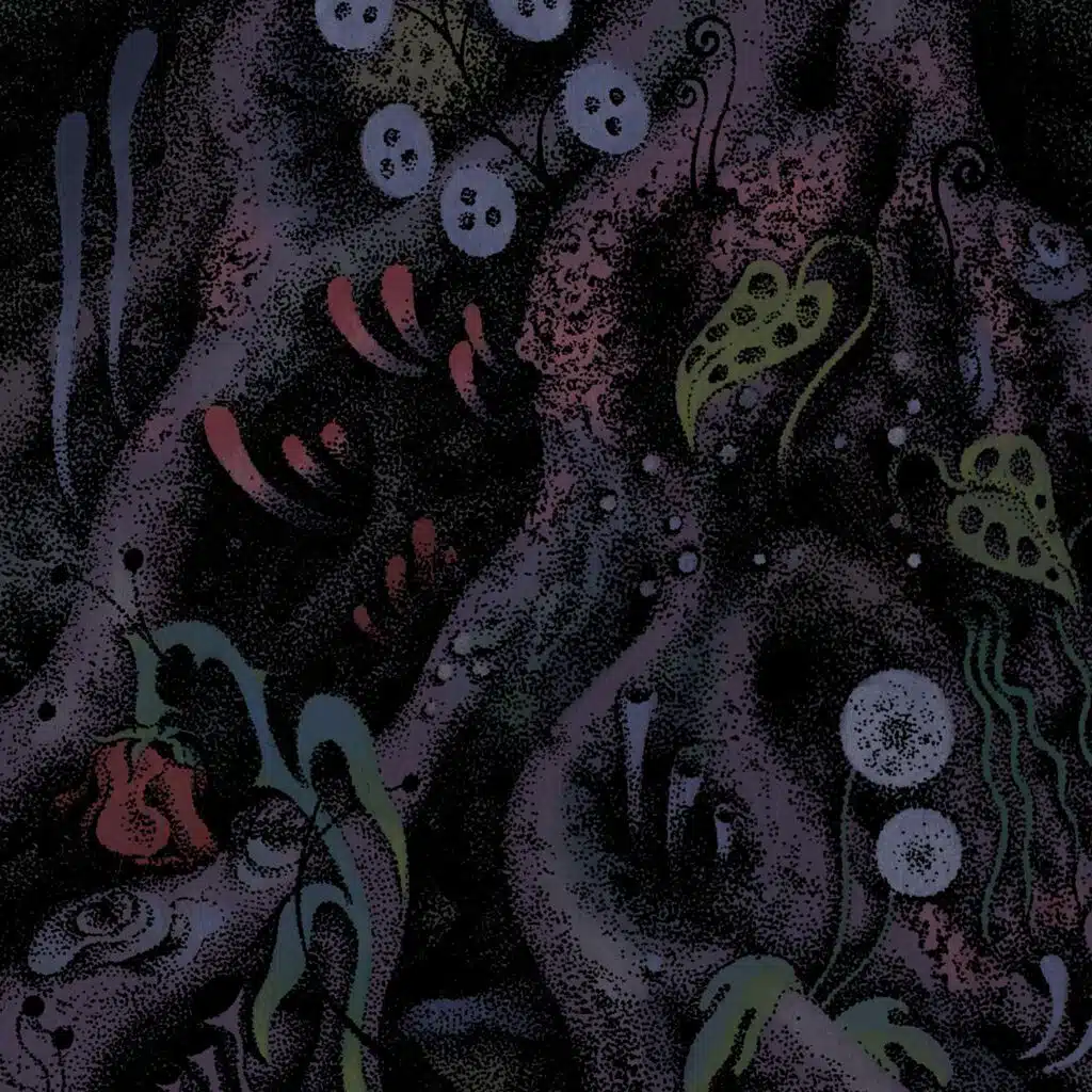 Roots